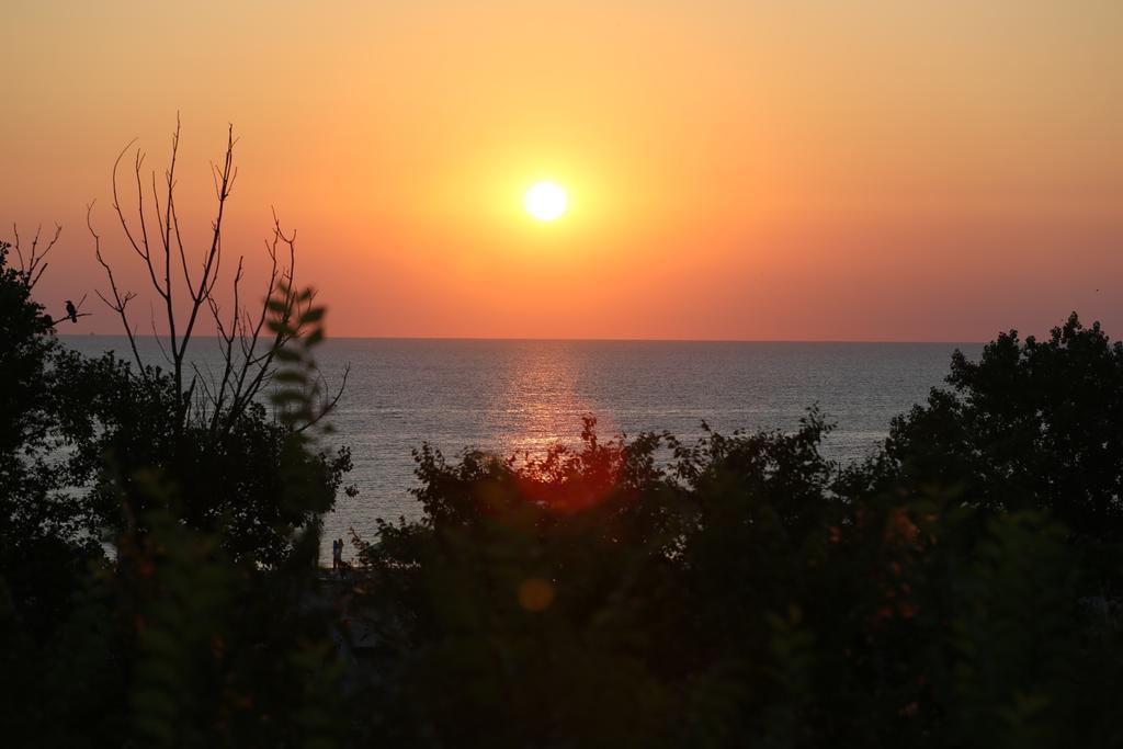 Evergreen Vlas Mamaia Sud Exteriör bild